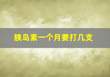 胰岛素一个月要打几支