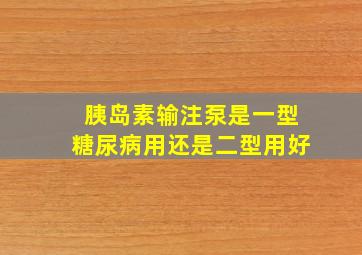 胰岛素输注泵是一型糖尿病用还是二型用好