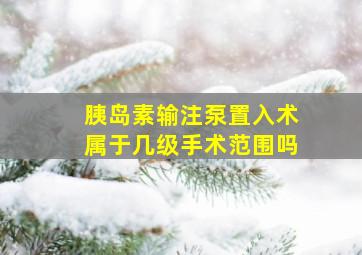 胰岛素输注泵置入术属于几级手术范围吗