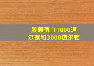 胶原蛋白1000道尔顿和3000道尔顿