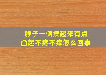 脖子一侧摸起来有点凸起不疼不痒怎么回事