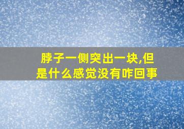 脖子一侧突出一块,但是什么感觉没有咋回事