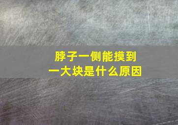 脖子一侧能摸到一大块是什么原因