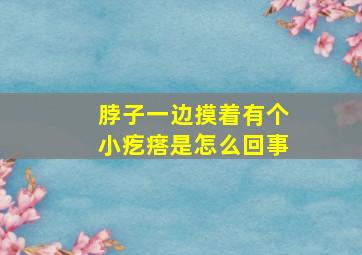 脖子一边摸着有个小疙瘩是怎么回事