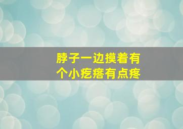 脖子一边摸着有个小疙瘩有点疼