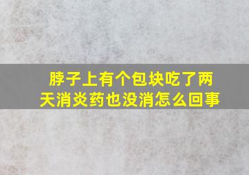 脖子上有个包块吃了两天消炎药也没消怎么回事