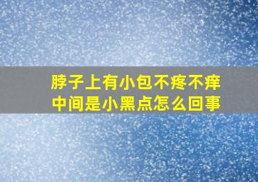 脖子上有小包不疼不痒中间是小黑点怎么回事