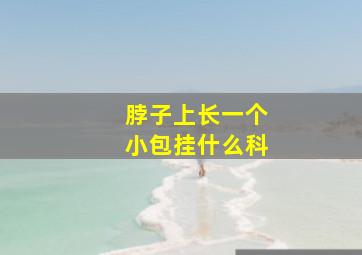 脖子上长一个小包挂什么科