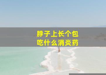 脖子上长个包吃什么消炎药