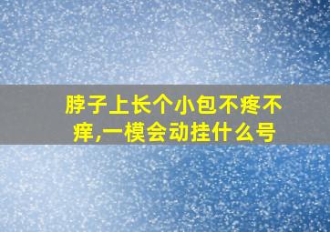 脖子上长个小包不疼不痒,一模会动挂什么号