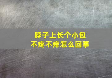 脖子上长个小包不疼不痒怎么回事