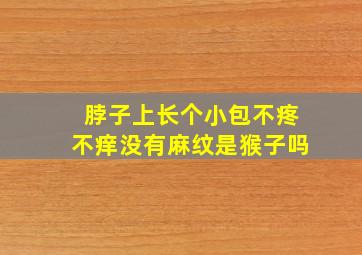 脖子上长个小包不疼不痒没有麻纹是猴子吗