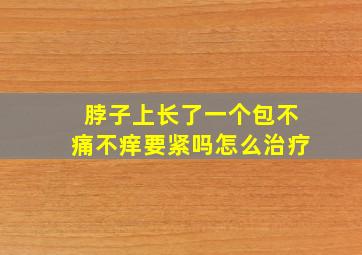 脖子上长了一个包不痛不痒要紧吗怎么治疗