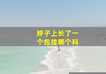 脖子上长了一个包挂哪个科