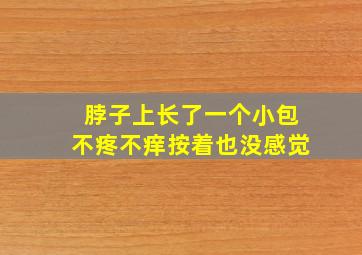 脖子上长了一个小包不疼不痒按着也没感觉