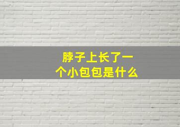 脖子上长了一个小包包是什么