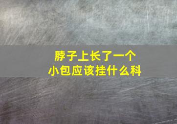 脖子上长了一个小包应该挂什么科