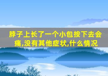 脖子上长了一个小包按下去会痛,没有其他症状,什么情况