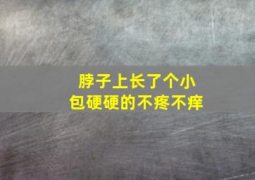 脖子上长了个小包硬硬的不疼不痒