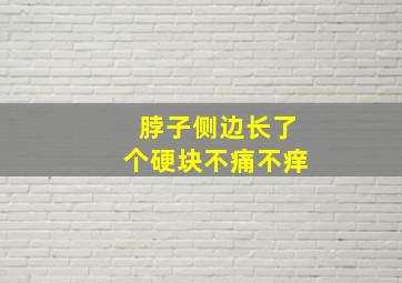 脖子侧边长了个硬块不痛不痒