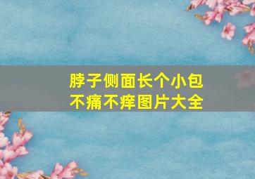 脖子侧面长个小包不痛不痒图片大全