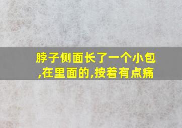 脖子侧面长了一个小包,在里面的,按着有点痛