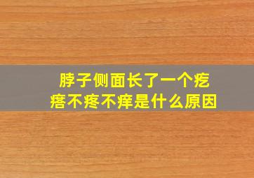 脖子侧面长了一个疙瘩不疼不痒是什么原因