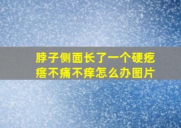 脖子侧面长了一个硬疙瘩不痛不痒怎么办图片