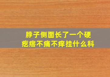 脖子侧面长了一个硬疙瘩不痛不痒挂什么科