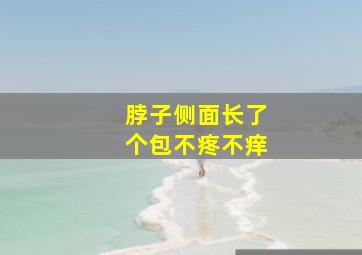 脖子侧面长了个包不疼不痒