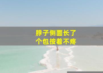 脖子侧面长了个包按着不疼