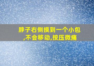 脖子右侧摸到一个小包,不会移动,按压微痛