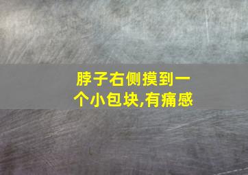 脖子右侧摸到一个小包块,有痛感