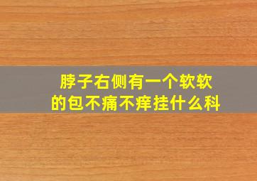 脖子右侧有一个软软的包不痛不痒挂什么科