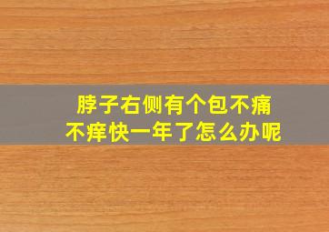 脖子右侧有个包不痛不痒快一年了怎么办呢