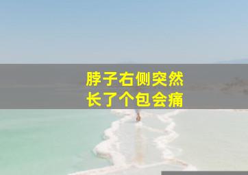 脖子右侧突然长了个包会痛