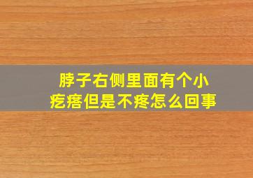 脖子右侧里面有个小疙瘩但是不疼怎么回事