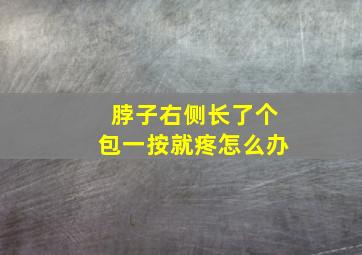 脖子右侧长了个包一按就疼怎么办