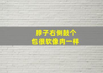 脖子右侧鼓个包很软像肉一样