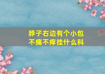 脖子右边有个小包不痛不痒挂什么科