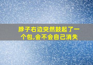 脖子右边突然鼓起了一个包,会不会自己消失