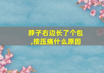 脖子右边长了个包,按压痛什么原因