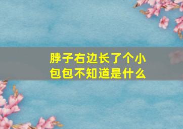 脖子右边长了个小包包不知道是什么