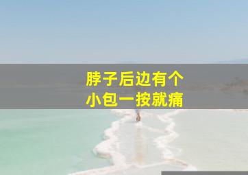 脖子后边有个小包一按就痛