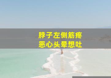 脖子左侧筋疼恶心头晕想吐