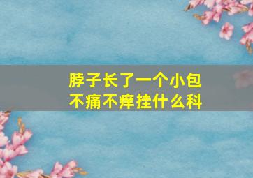 脖子长了一个小包不痛不痒挂什么科