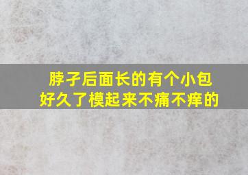 脖孑后面长的有个小包好久了模起来不痛不痒的