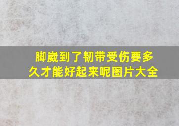 脚崴到了韧带受伤要多久才能好起来呢图片大全