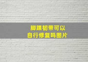 脚踝韧带可以自行修复吗图片