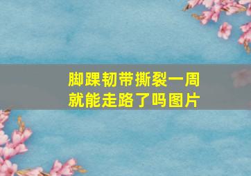 脚踝韧带撕裂一周就能走路了吗图片